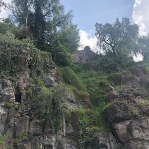 Meet your Posher, Saidies